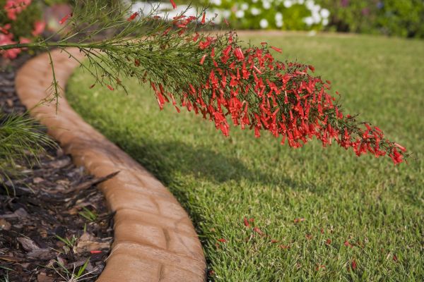 Brick Edging in Westerville